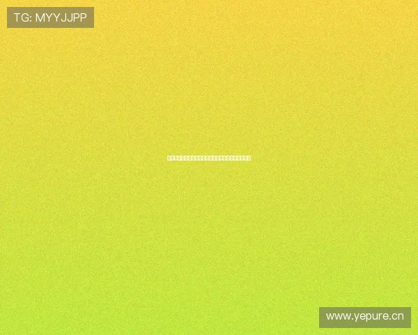 山东海星足球俱乐部崛起之路与青训体系全面发展探索